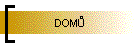 DOM